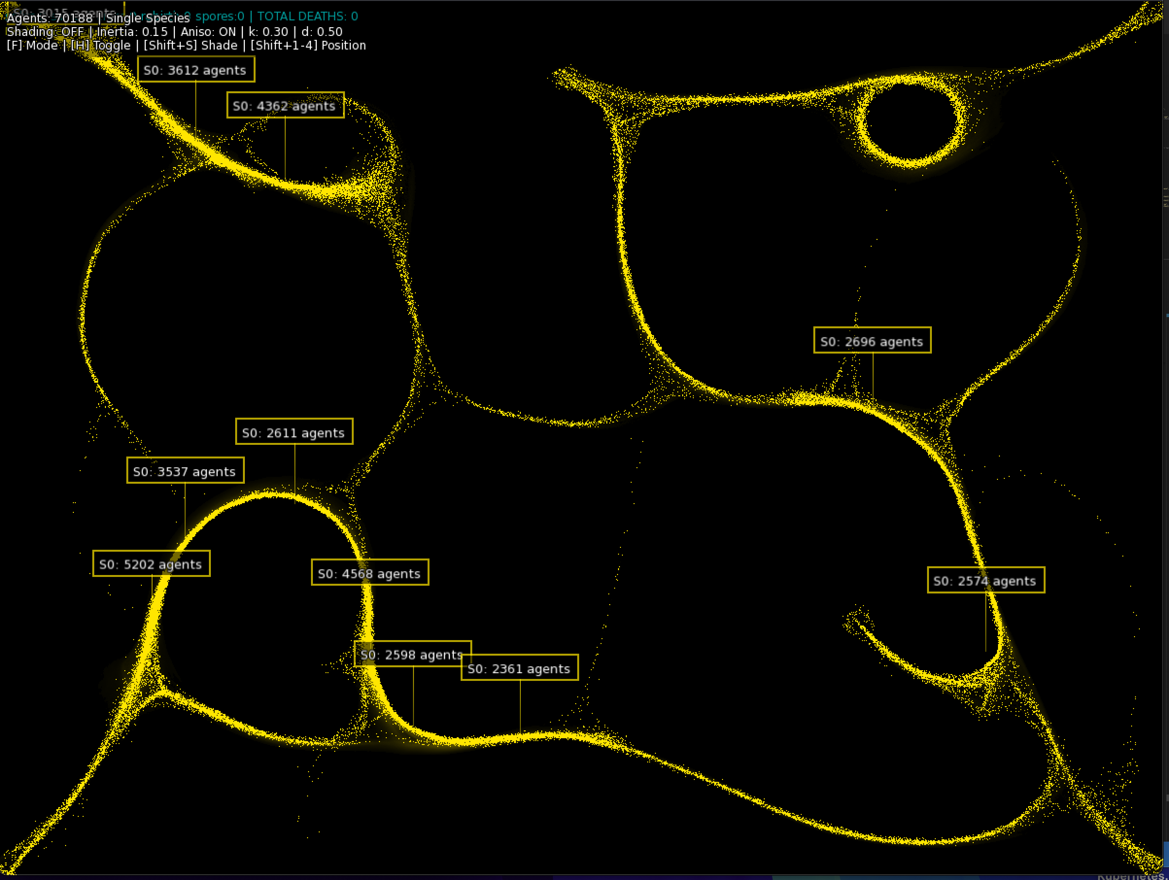 Physarium Slime Simulation